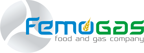 femogas_logo_colori